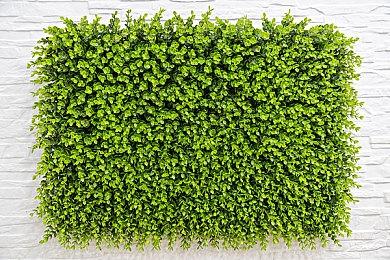 网易5v5射击游戏《界外狂潮》今日公测，支持光线追踪、DLSS4加速